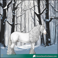 Horse Color:White Spotted Silver Smoky Grullo Mushroom Appaloosa Rabicano 