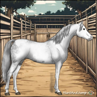 Horse Color:Gray White Spotted Smoky Black Tobiano 