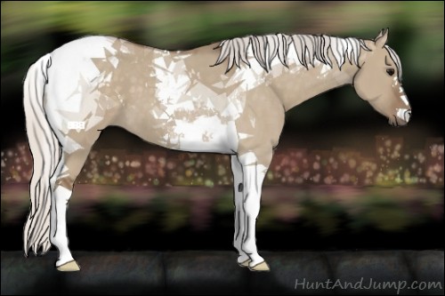 Horse Color:Silver Grullo Tobiano