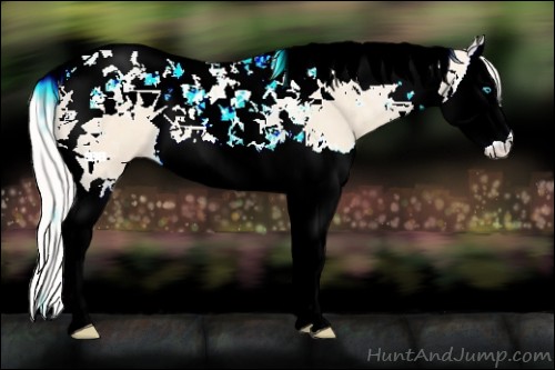Horse Color:Cremello Splash Tobiano