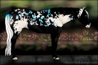 Horse Color:Cremello Splash Tobiano 