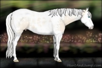 Horse Color:Cremello Splash Tobiano 