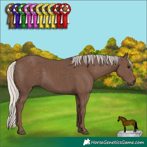 Horse Color:Silver Black Rabicano 