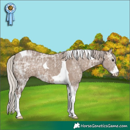 Horse Color:Silver Grullo Ice Sabino Tobiano 