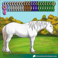 Horse Color:Sable Champagne Sabino Tobiano Snowflake Varnish Rabicano 