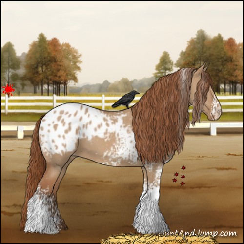 Horse Color:White Spotted Red Dun Blanket 