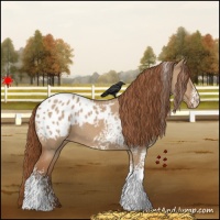 Horse Color:White Spotted Red Dun Blanket 