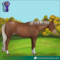 Horse Color:Gray Silver Black Pearl Tobiano 