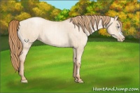 Horse Color:Gold Champagne Pearl Dun Rabicano  and Gold Champagne Pearl Dun Rabicano 