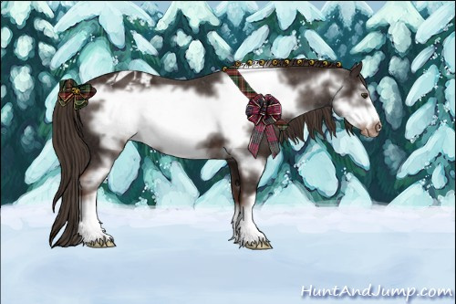 Horse Color:Liver Chestnut Sabino Frame Appaloosa 