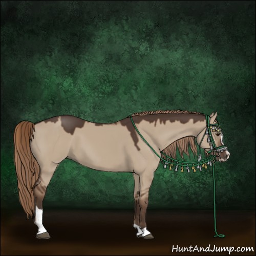 Horse Color:Liver Red Dun Sabino 