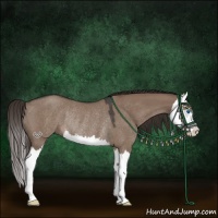 Horse Color:Liver Red Dun Roan Splash Rabicano 