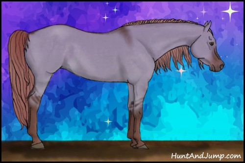 Horse Color:Liver Red Dun Sabino Rabicano 