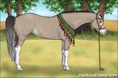 Horse Color:Liver Red Dun Roan Splash 