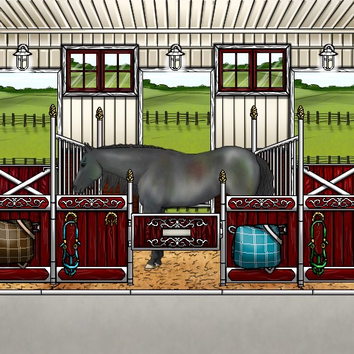 Horse Color:Blue Roan 