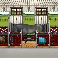 Horse Color:Blue Roan 