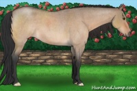 Horse Color:Brown Roan Dun 