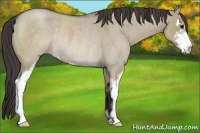 Horse Color:Smoky Grullo Roan Sabino Rabicano 