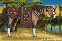 Horse Color:Bay Roan Splash 