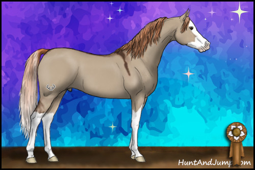 Horse Color:Liver Red Dun Splash 