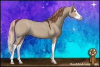 Horse Color:Liver Red Dun Splash