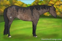 Horse Color:Brown Dun Brindle 