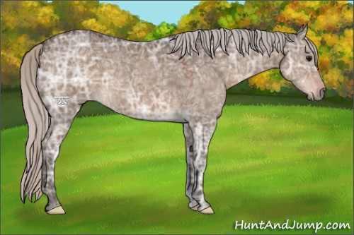 Horse Color:Silver Brown Ice Dun