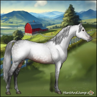 Horse Color:Gray Brown 