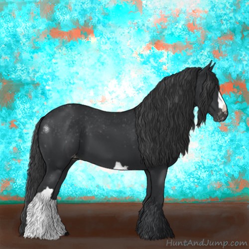 Horse Color:Black Appaloosa 