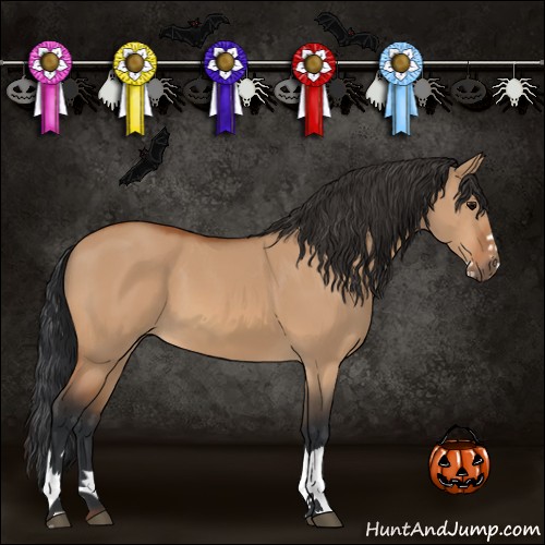 Horse Color:Bay Dun Splash