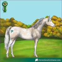 Horse Color:White Spotted Silver Brown Pearl Dun Splash