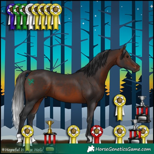 Horse Color:Brown 
