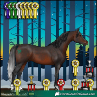 Horse Color:Brown 