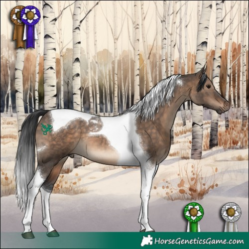 Horse Color:Brown Dun Tobiano 