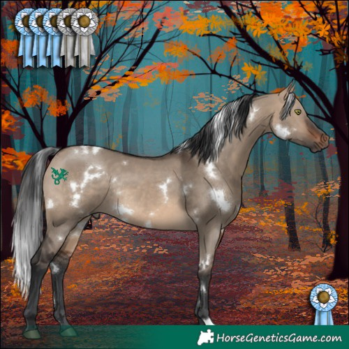 Horse Color:White Spotted Brown Dun Rabicano 