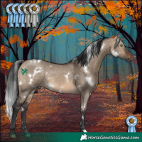 Horse Color:White Spotted Brown Dun Rabicano 