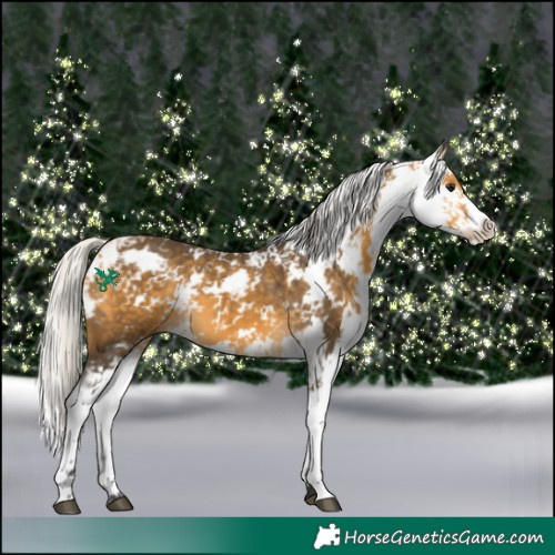 Horse Color:Silver Buckskin Sabino 