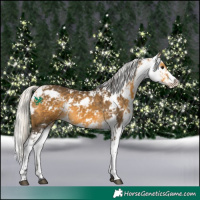 Horse Color:Silver Buckskin Sabino 