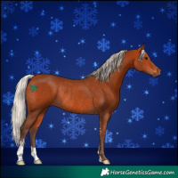 Horse Color:Silver Bay Sabino Rabicano 