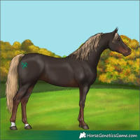 Horse Color:Liver Chestnut 