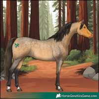 Horse Color:Buckskin Roan 