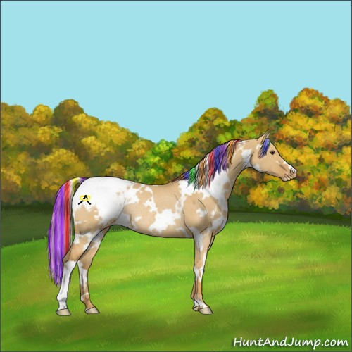 Horse Color:Painted White Spotted Palomino Dun Appaloosa Rabicano 