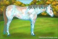 Horse Color:Thunderstruck Red Onyx Ice Frame