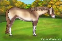 Horse Color:Red Onyx