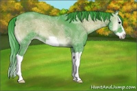 Horse Color:Watercolor Blue Onyx Ice Splash Frame 