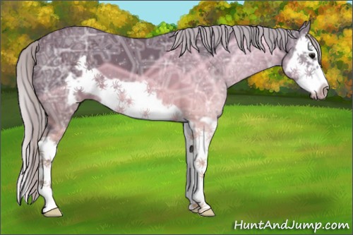 Horse Color:Silver Brown Ice Splash Frame