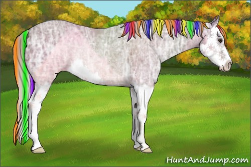 Horse Color:Painted Silver Brown Ice Splash Rabicano 