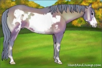 Horse Color:Watercolor Brown Onyx Frame 