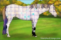 Horse Color:Plaid Bay Ice Pearl