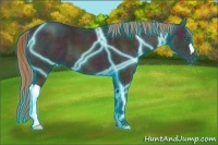 Horse Color:Thunderstruck Midnight Gold Champagne Ice 